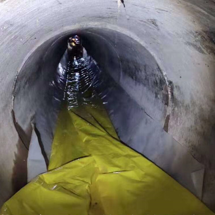 遂溪管道光固化修复